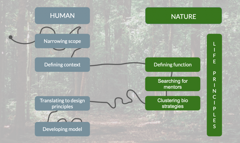 biomimicry2