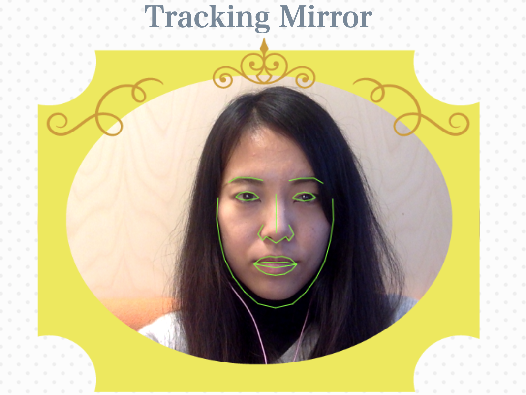 trackingmirror3